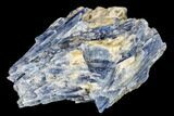 Vibrant Blue Kyanite Crystals In Quartz - Brazil #113484-1